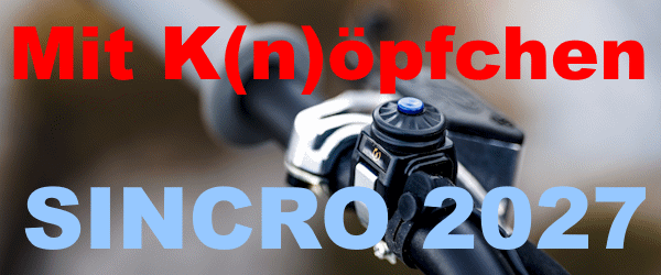 Sincro 300 2T H